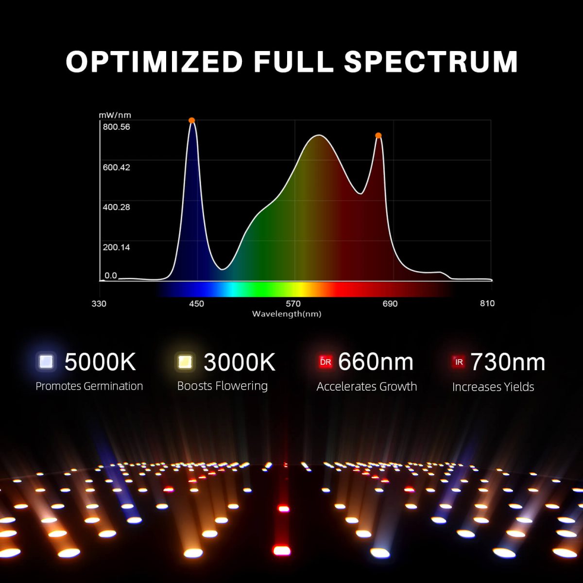 Spider Farmer EVO SF2000 LED Grow Light with Samsung LM301H Diodes - High-Efficiency Indoor Plant Growth Lighting Solution