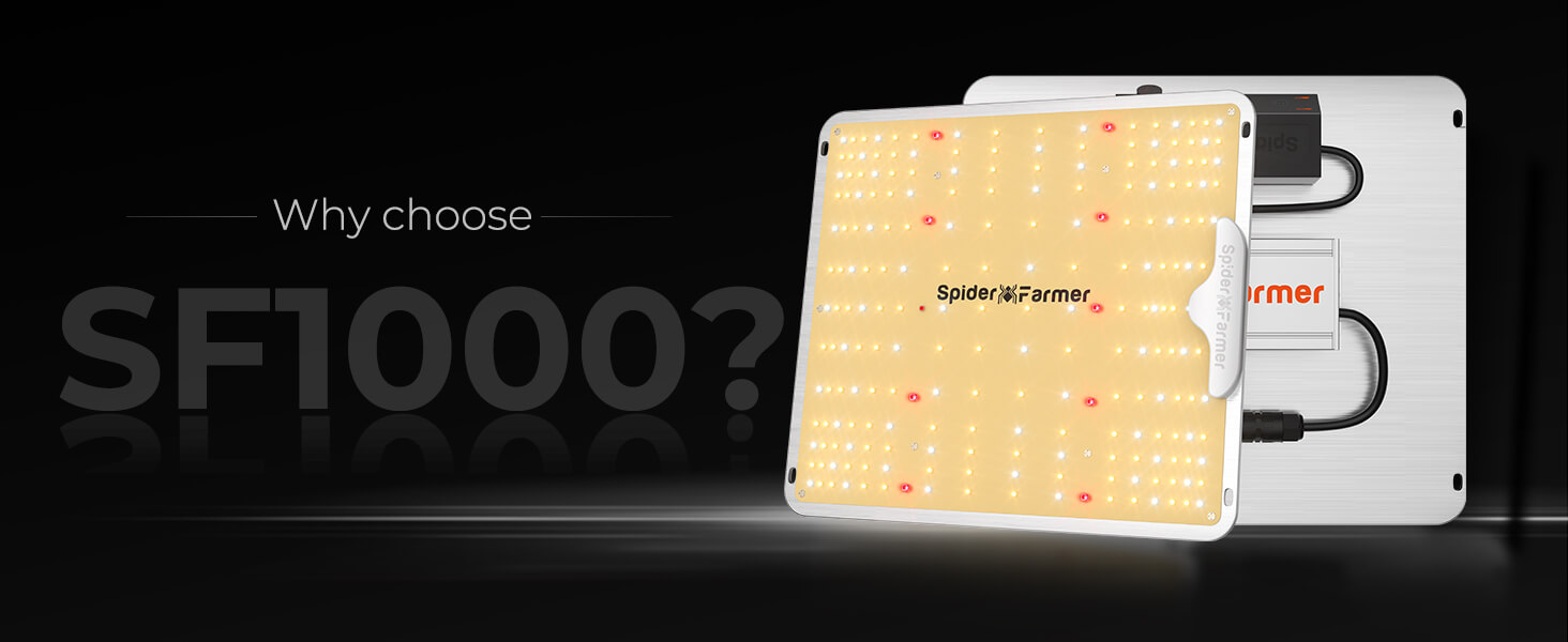 SF1000 led grow light .