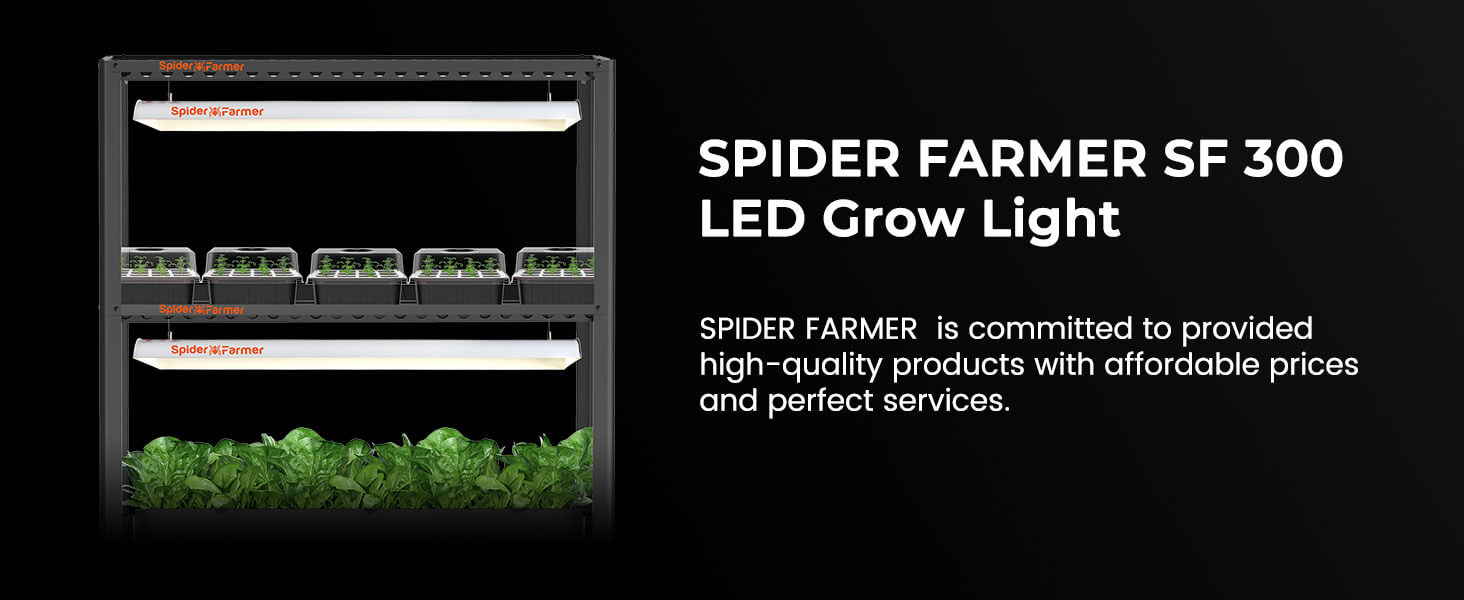 Spider Farmer SF300