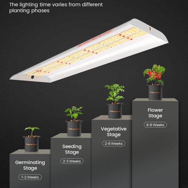 https://www.spider-farmer.com/wp-content/uploads/2021/05/SF300-growing-tips-600x600.jpg