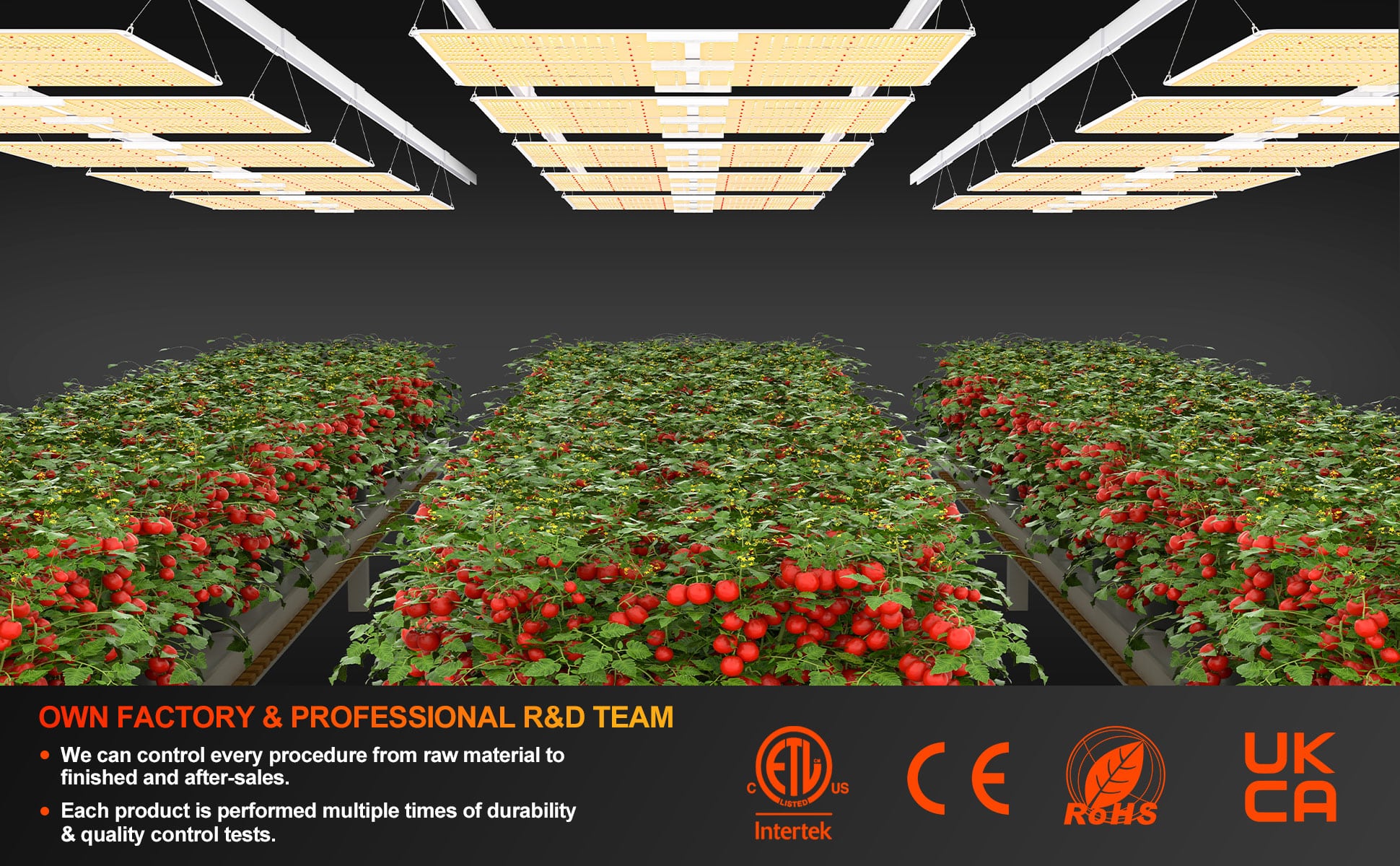 Spider Farmer® sf series 4000 led grow light professional r&d team