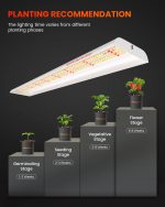 Spider Farmer SF600 LED Grow Light in Action - Tips for Optimal Plant Growth