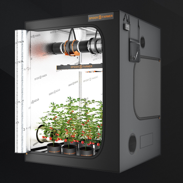 Spider Farmer 150x150x200 Grow Tent