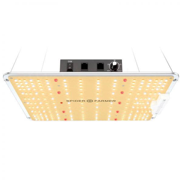SF1000 led grow light