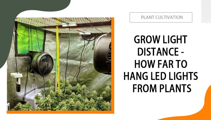 Grow-Light-Distance-How-Far-to-Hang-LED-Lights-From-Plants
