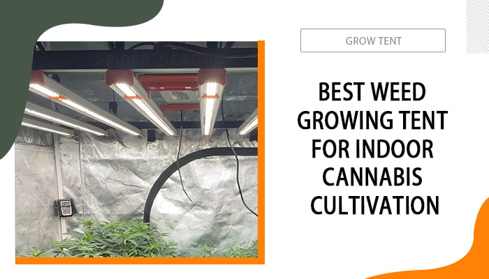 Best-Weed-Growing-Tent-for-Indoor-Cannabis-Cultivation