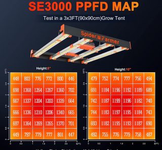 PPFD MAP of SE3000 300W Led