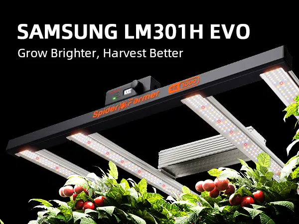 Spider Farmer SE3000-EVO-300W-LED-Grow-Light
