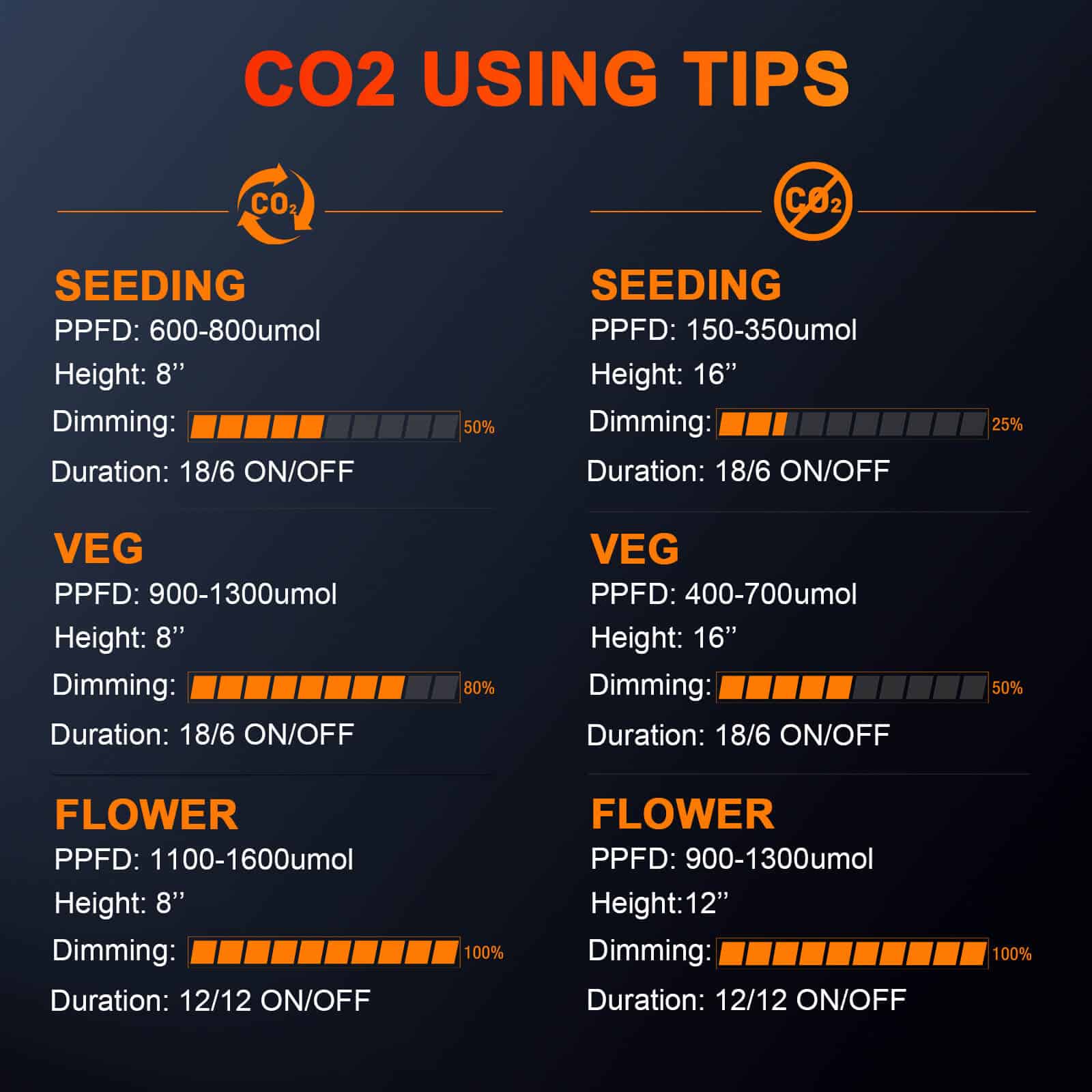 cannabis plants