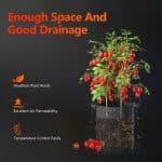 Spider Farmer 5 Gallon Grow Bag for Plants - Durable and Reusable Fabric