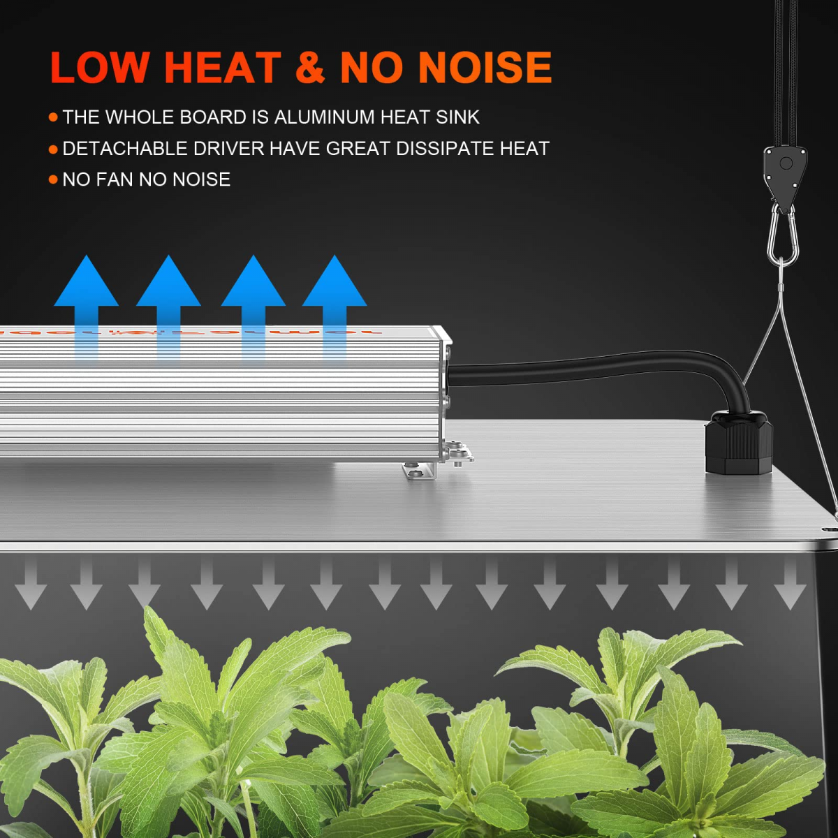 Spider Farmer SF1000D 301B 2X2 Complete Grow Tent Kit