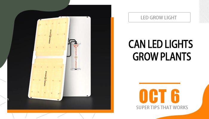 Can LED Lights Grow Plants