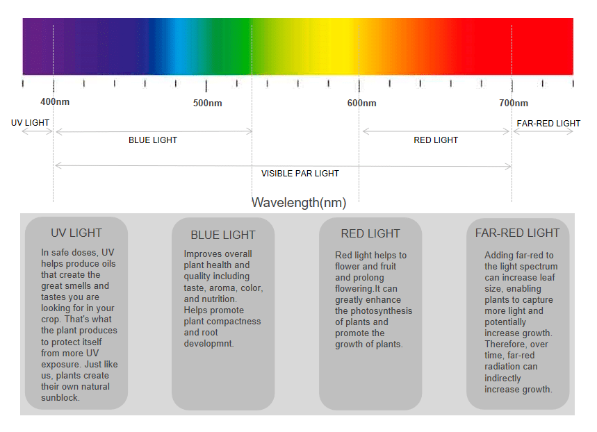 growth light spectrum