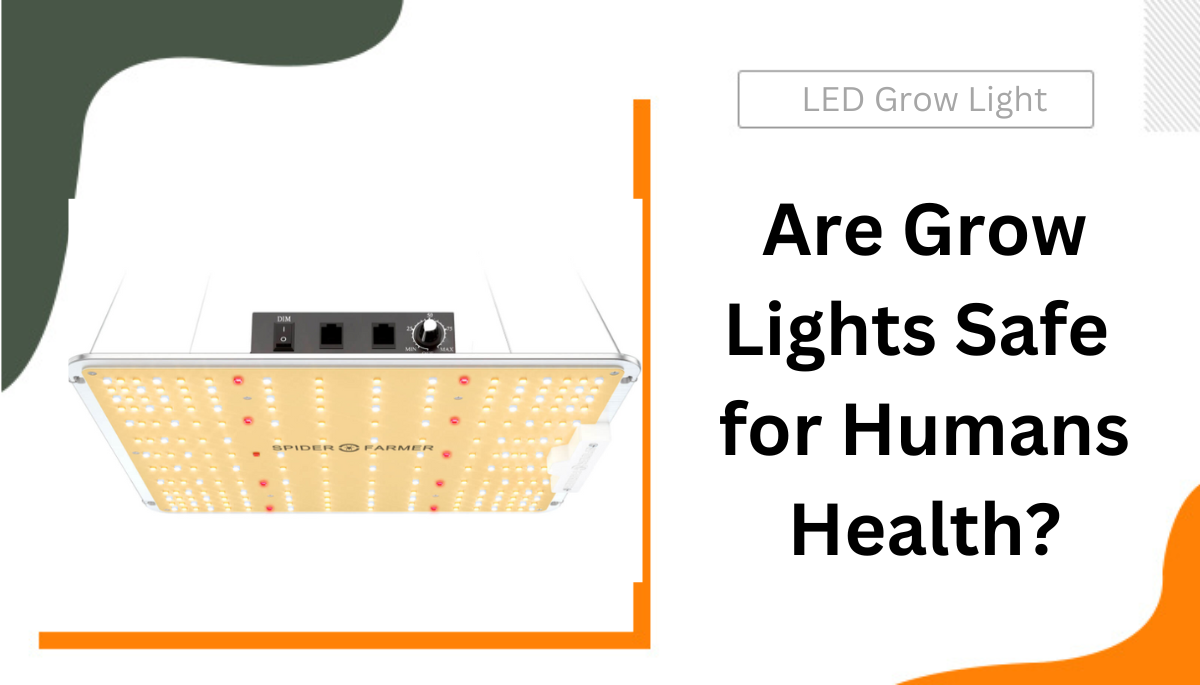 Are Grow Lights Safe for Humans Health
