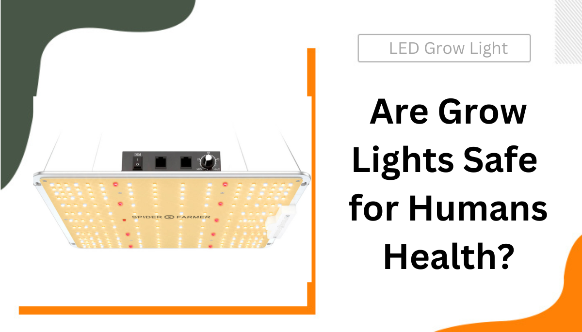 Are LED Lights Safe? Are They Harmful to Your Health?