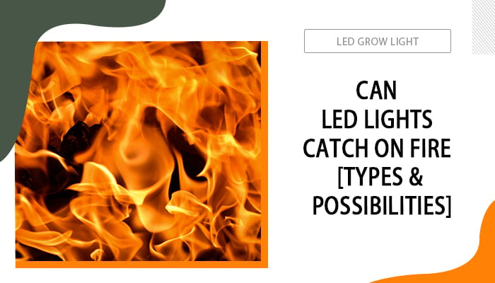 Can Catch on Fire [Types &