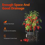 Spider Farmer 11-gallon grow bag, ideal for hydroponic and indoor gardening