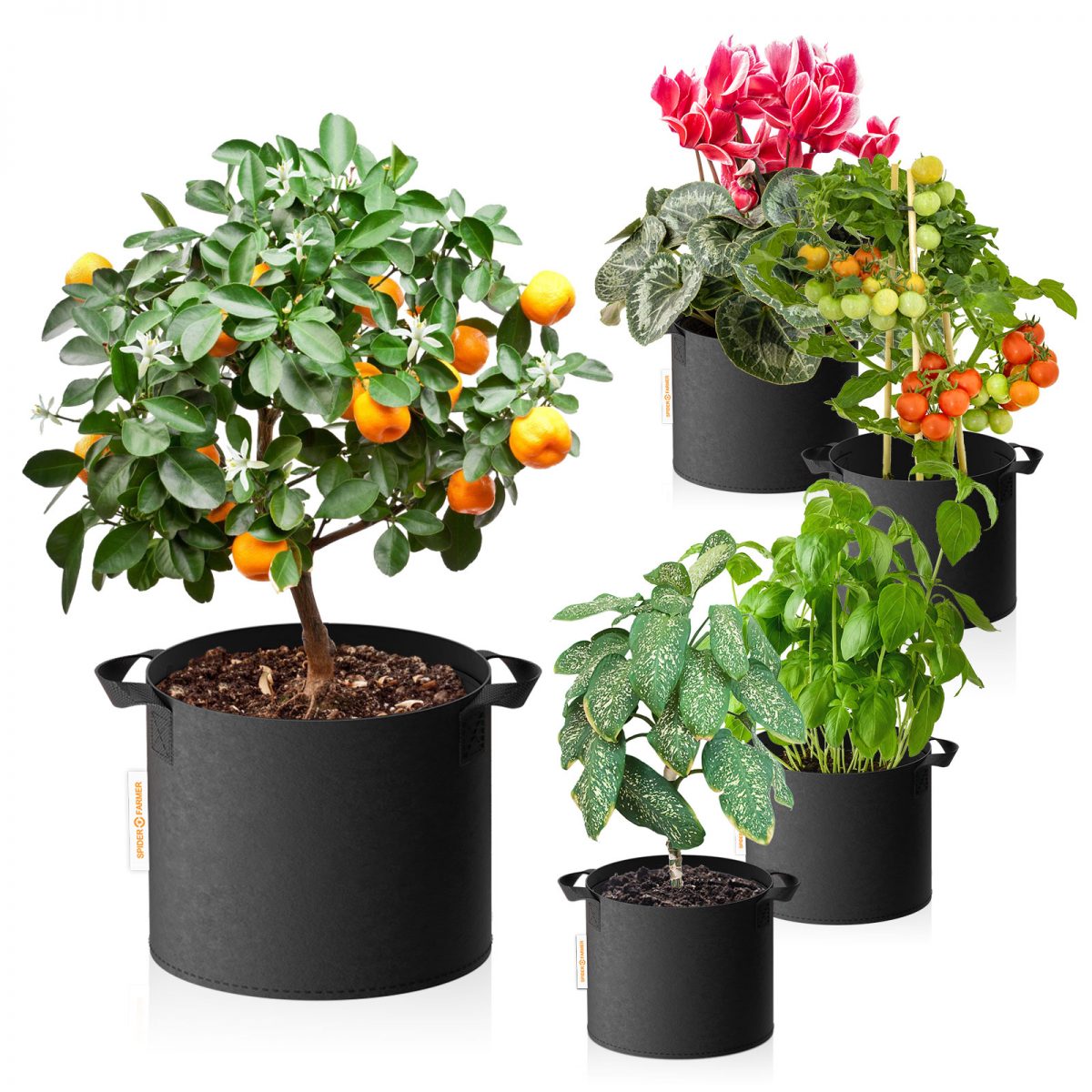 Spider Farmer 11 Gallon Grow Bag - Durable Fabric Plant Pot for Large Plantings