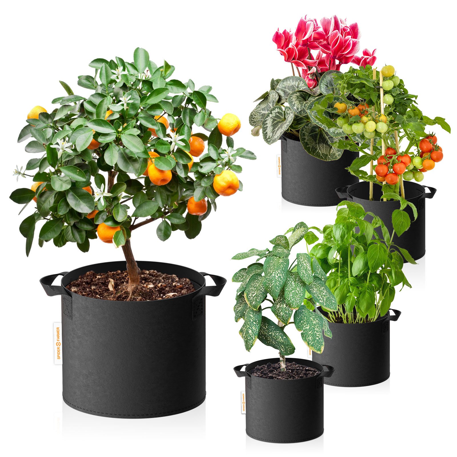Spider Farmer 11 Gallon Grow Bag - Durable Fabric Plant Pot for Large Plantings