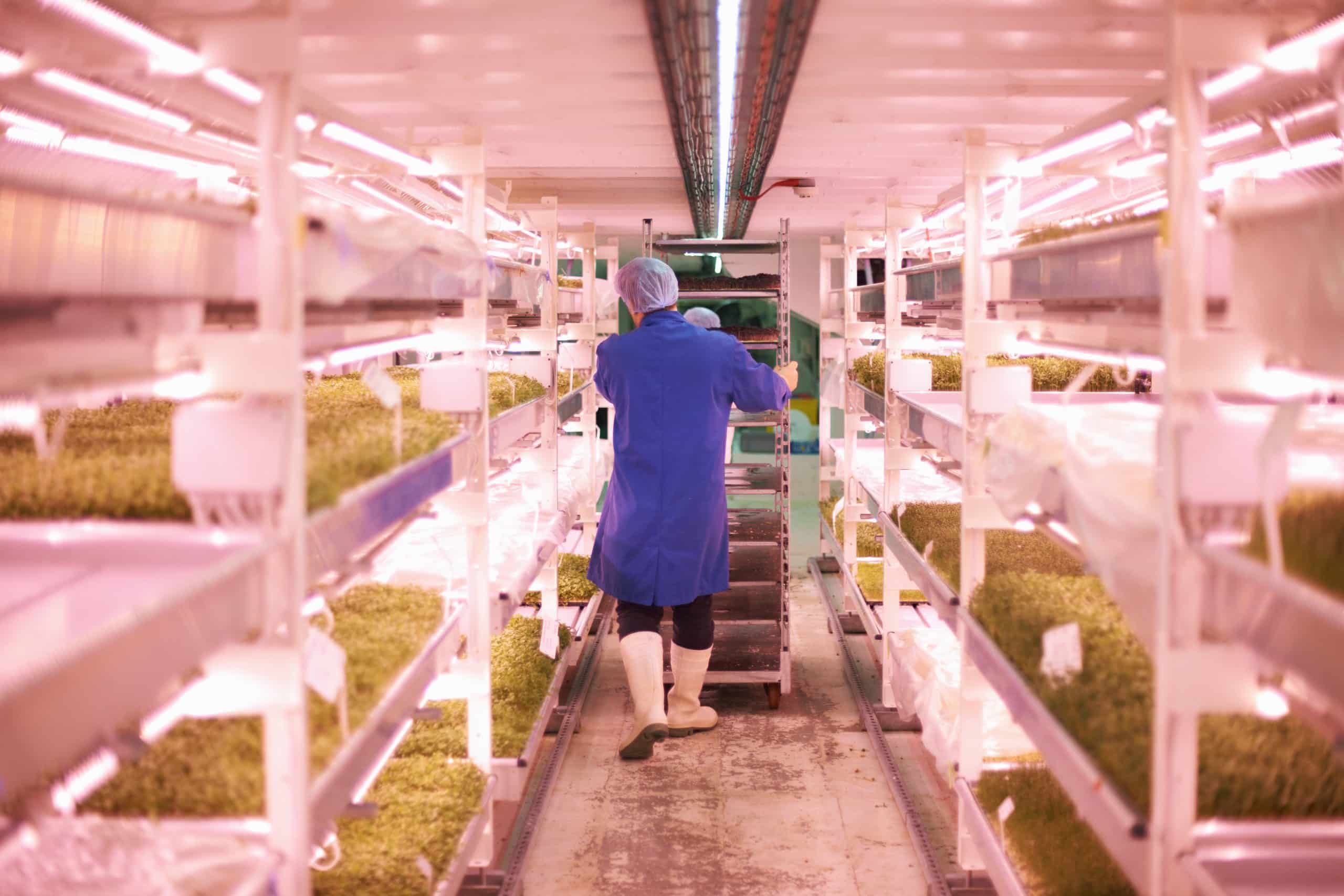 Full length rear view of worker pushing trolley through artificial light growing room