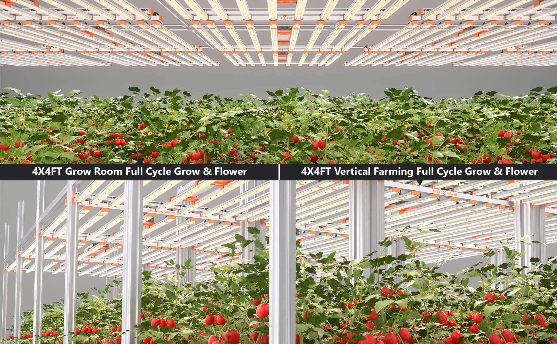 Spider Farmer® newest g series 1000ww led grow light applications 