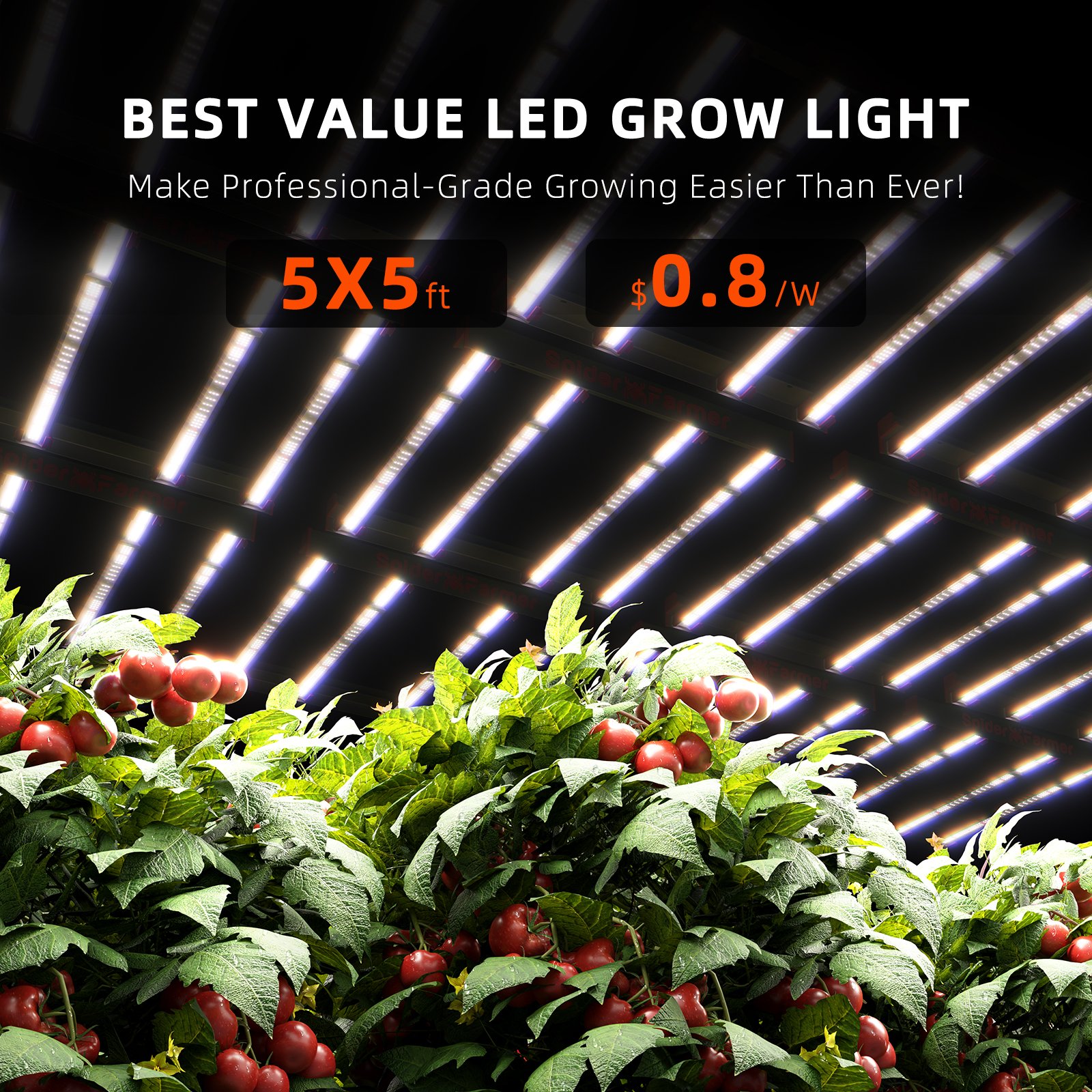 Hi-Sdard Timer Control LED Grow Light 1000W Full Spectrum with