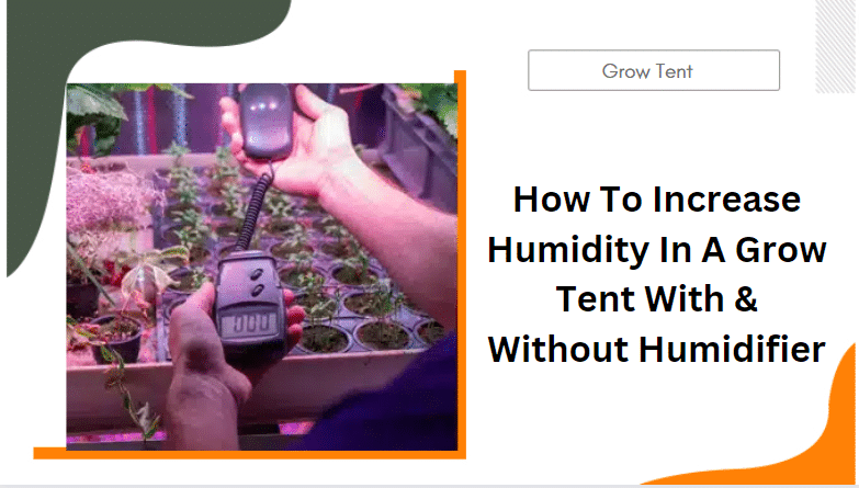 How to Raise Humidity in Grow Tent