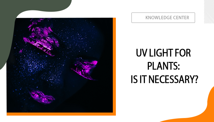 UV Light for Plants