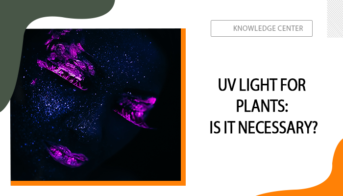 Plants need best sale uv light