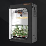 Spider Farmer 120x60x150 Grow Tent