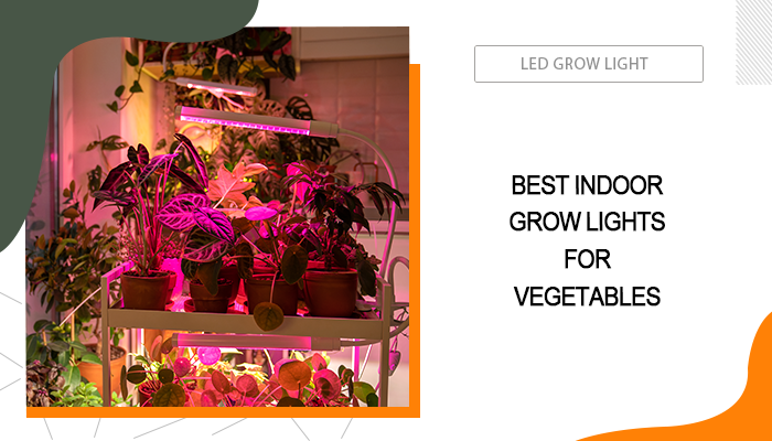 Best Indoor Grow Lights for Vegetables