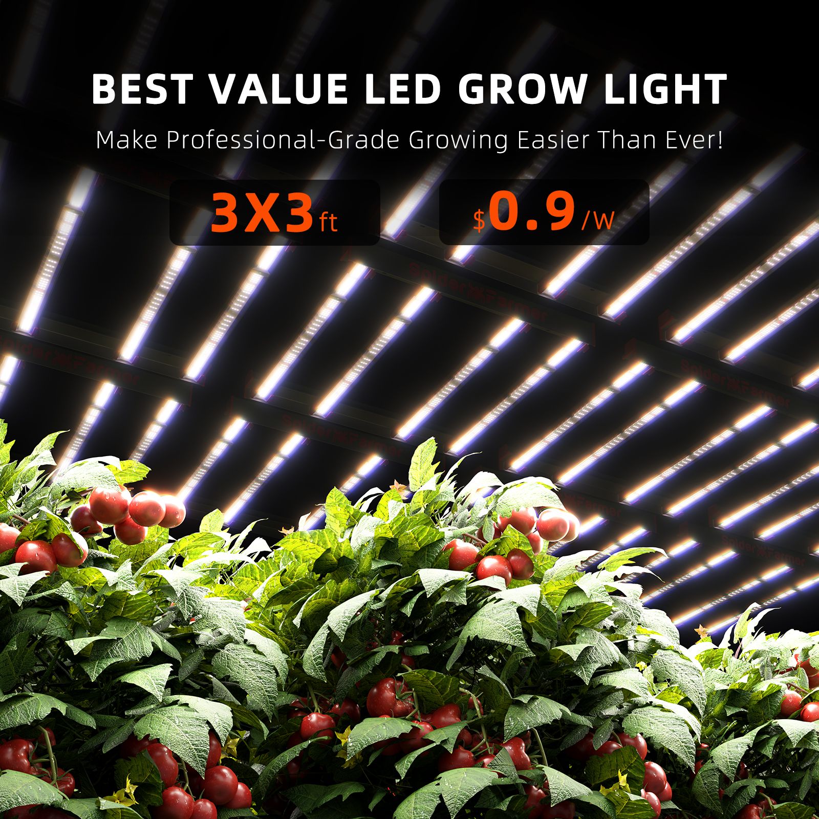 2024 Newest Spider Famrer G3000 300W LED Grow Light For 3X3