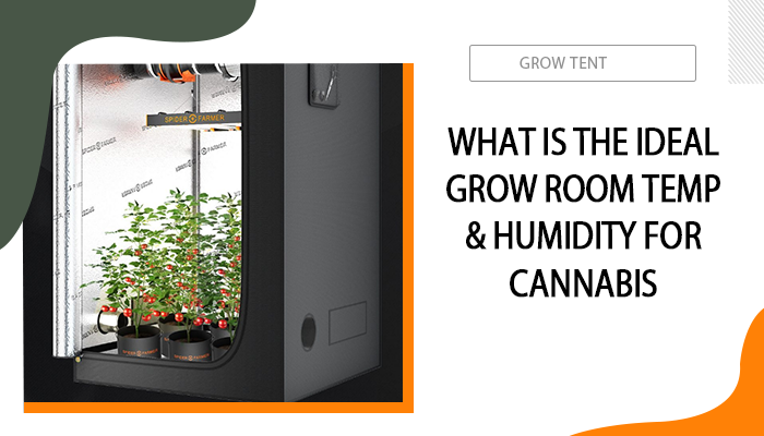 What Is the Ideal Grow Room Temp & Humidity for Cannabis