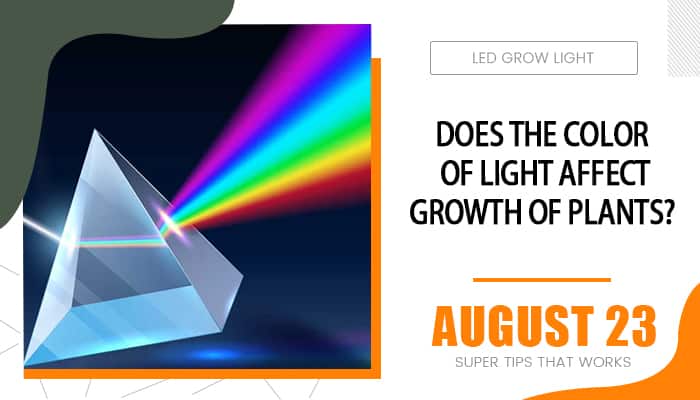 How Does The Color Of Light Affect Growth Of Plants