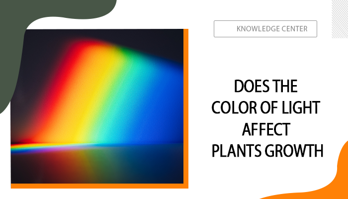 does the color of light affect plants growth