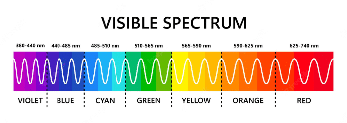 Color Of Light Visible Light and Wavelengths