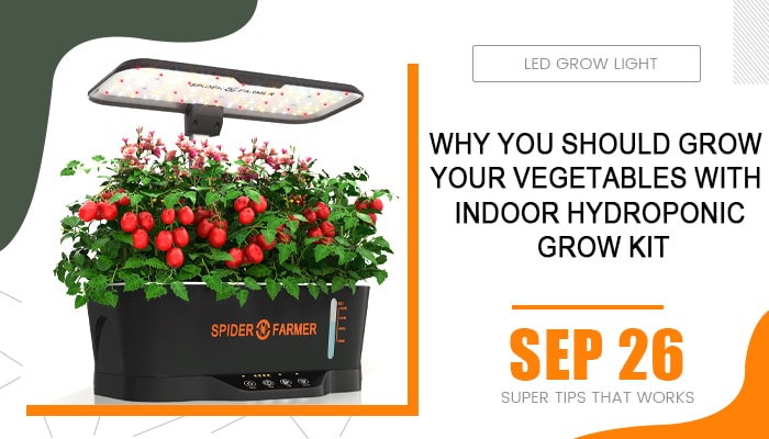 Why You Should Grow Your Vegetables With Indoor Hydroponic Grow Kit