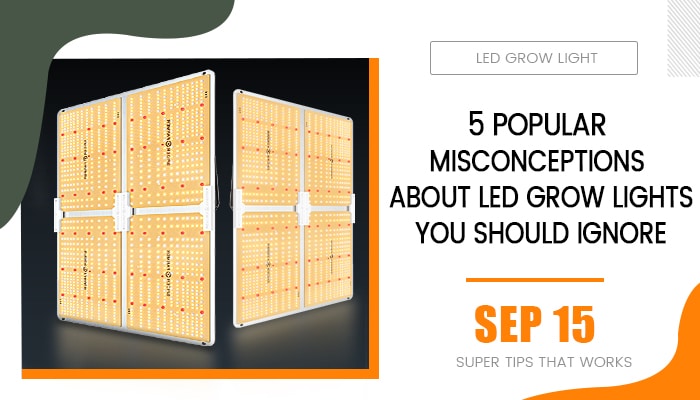 5 Popular Misconceptions About LED Grow Lights You Should Ignore