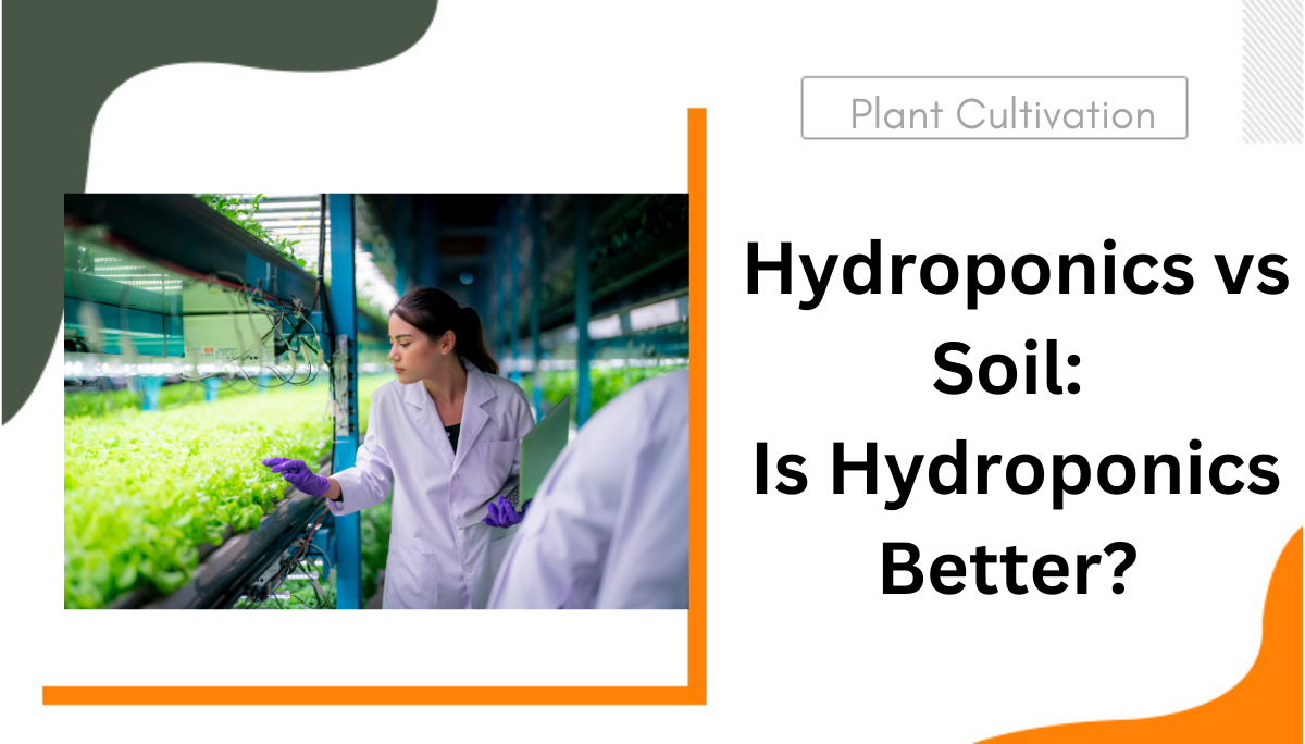 Hydroponics vs Soil Is Hydroponics Better