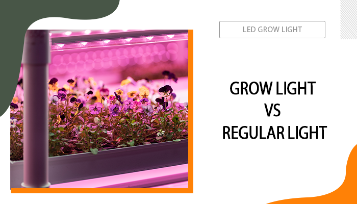 grow light vs regular light