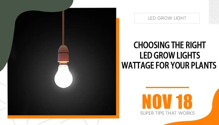 Choosing the right LED Grow Lights Wattage For Your Plants