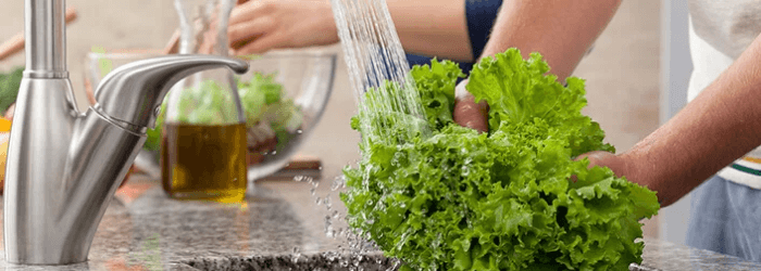 Growing lettuce indoors with hydroponics