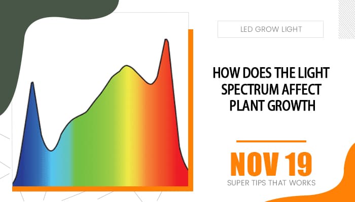 How Does The Light Spectrum Affect Plant Growth