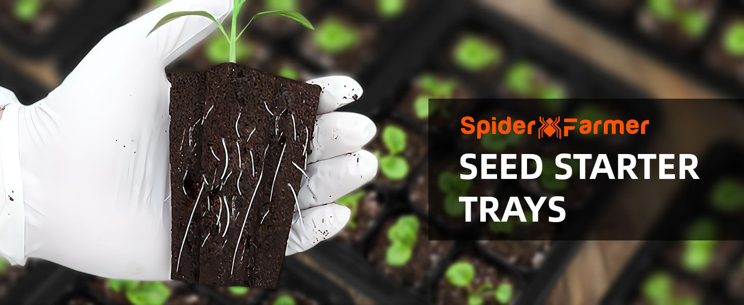 Spider Farmer® seed starting trays seed starter tray