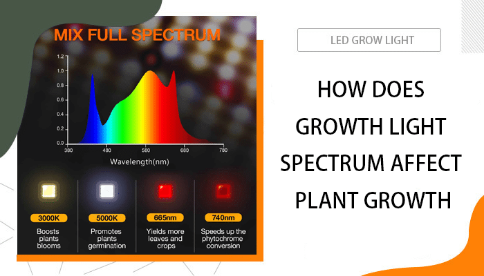 Understanding the Importance of Growth Light Spectrum