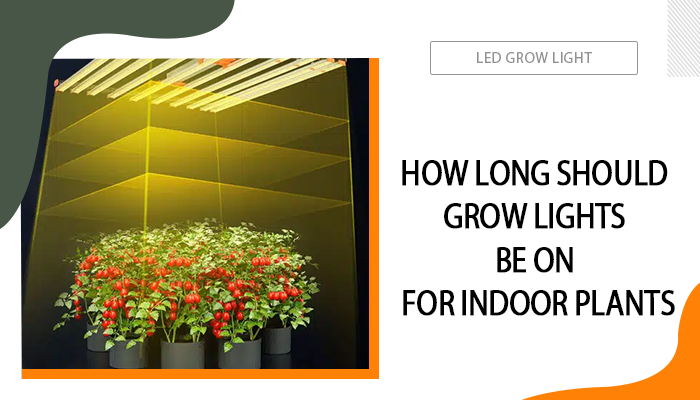 How Long Should Grow Lights Be On for Indoor Plants