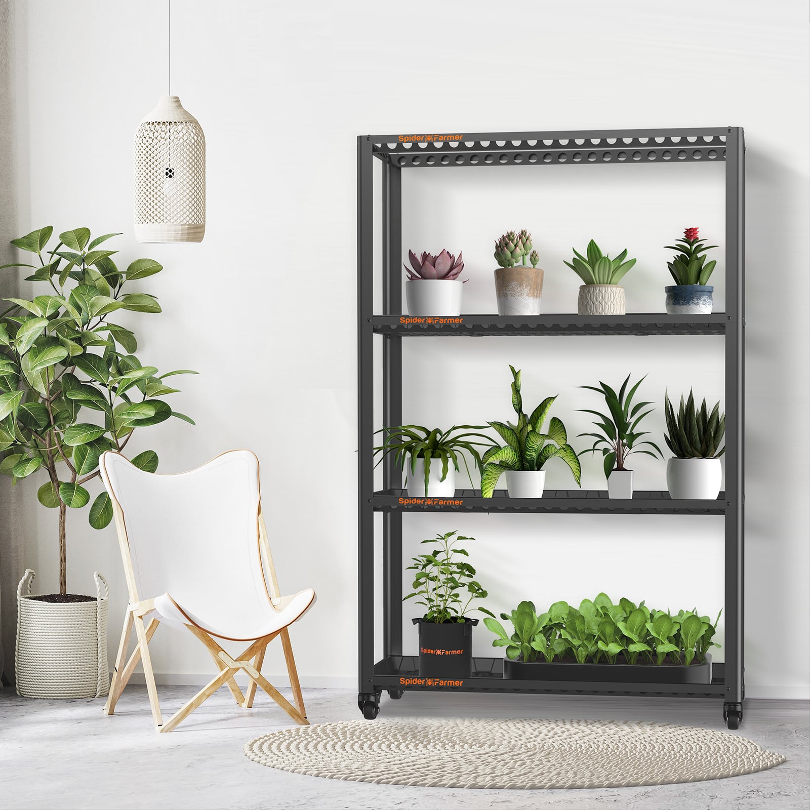  Humidity Tray Indoor Plant Stand Growing Tray for