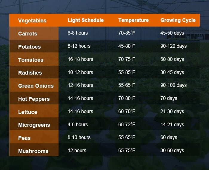 How Long Should Grow Lights Be On