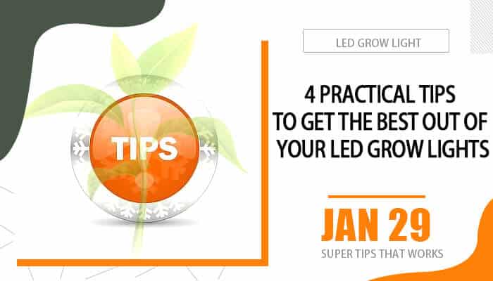 4 Practical Tips To Get The Best Out Of Your LED Grow Light