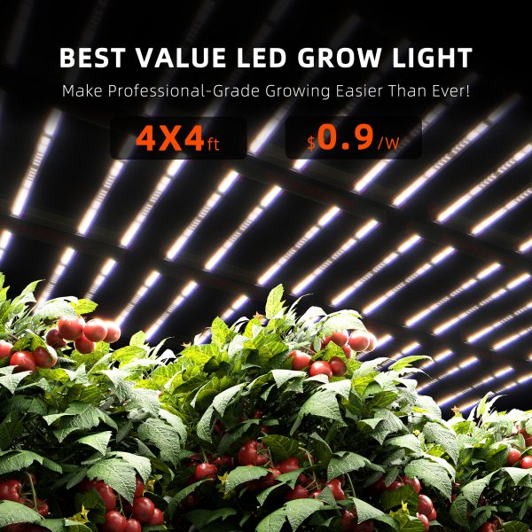 Best 2x4 led grow on sale light